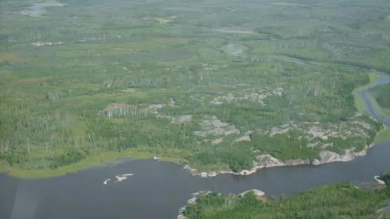 Heart of the Boreal credit Casey-Lefkowitz