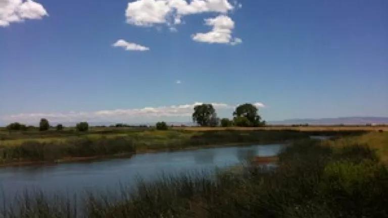 San Joaquin River Landscape.jpg