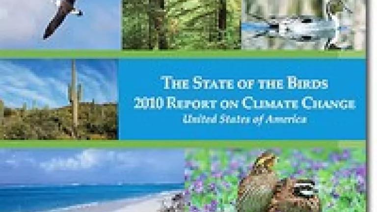 2010 State of the Birds Report on Climate Change