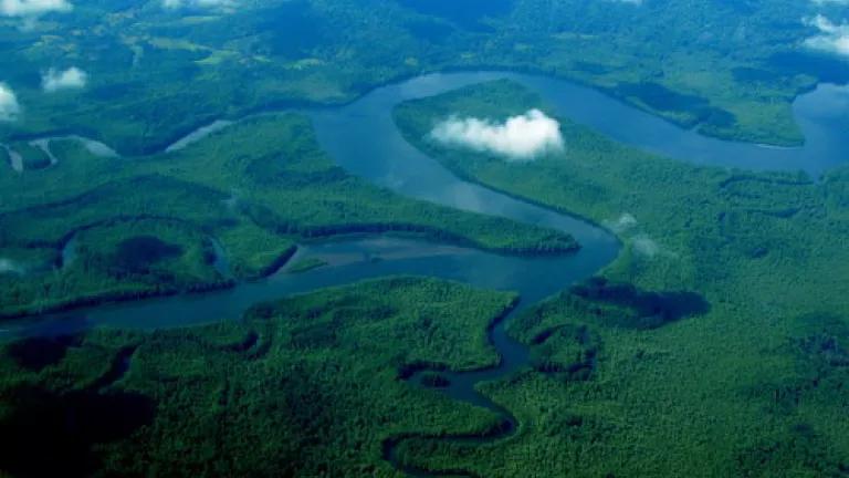 Thumbnail image for Terraba Sierpe Wetlands March 2011 Credit NRDC.jpg