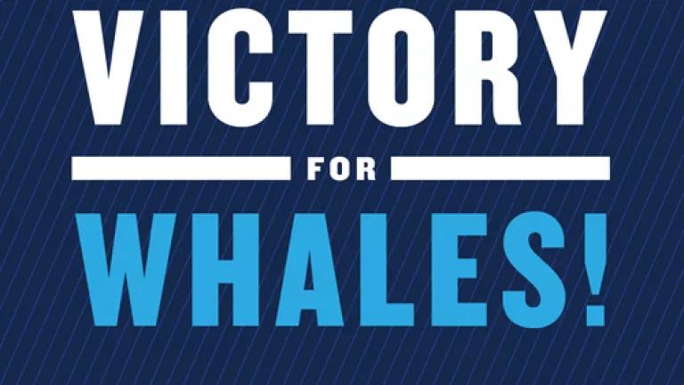 Victory for Whales.png