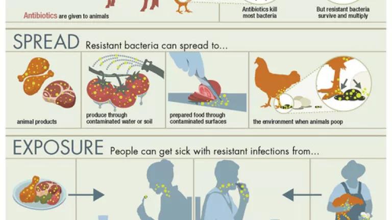 ar-infographic-950px.jpg