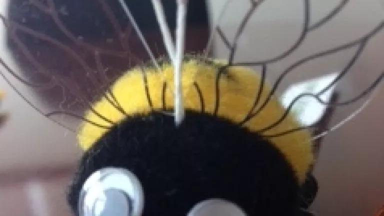 bee selfie.JPG