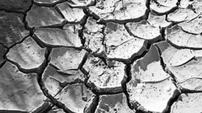 Thumbnail image for drought-Bert Kaufmann.jpg