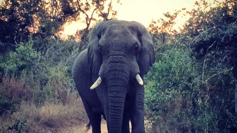 ellyphoto-namibia.jpg