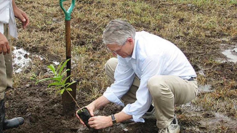 NRDC Executive Director Peter Lehner planting a tree in Costa Rica