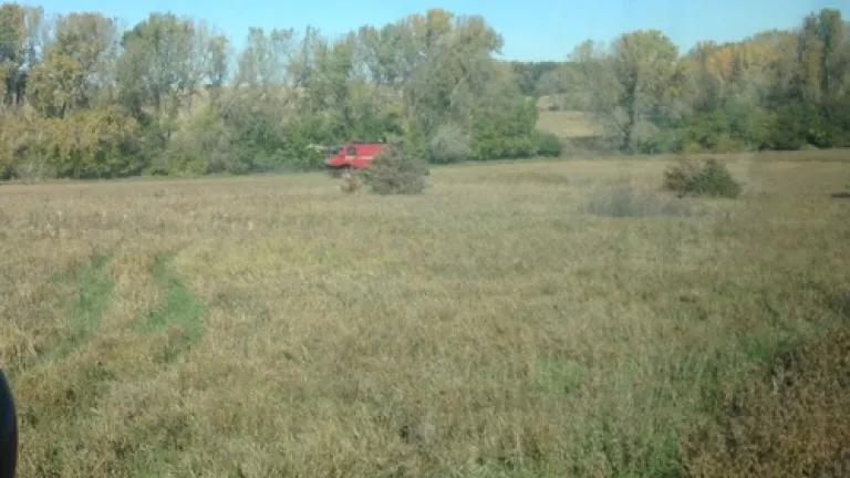 harvestblog1.jpg