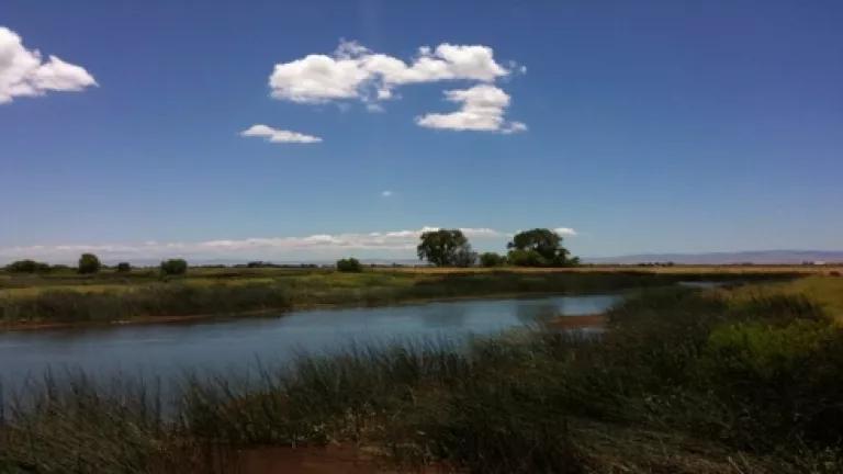 image 1.jpg