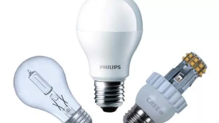 lightbulbs.jpg