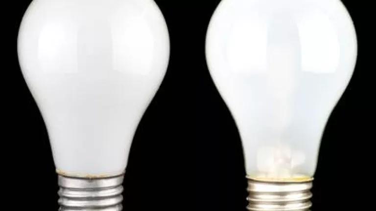 lightbulbs.jpg