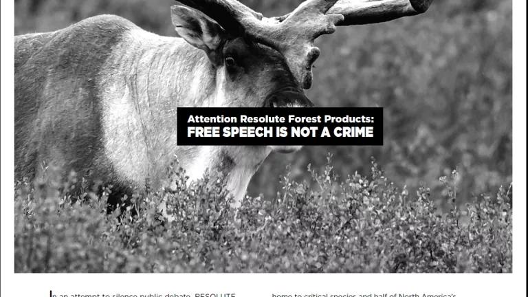 New York Times Resolute ad 