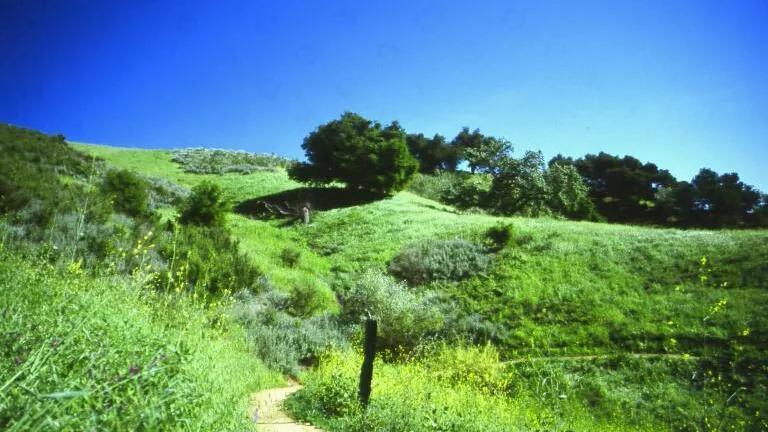 Upper Las Virgenes Canyon Open Space Preserve (formerly Ahmanson Ranch)
