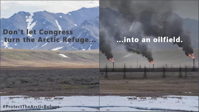What the Arctic Refuge would look like if drilled
