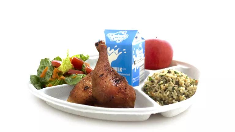 compostable lunch plates