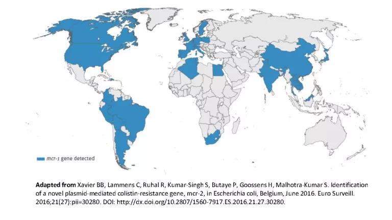 Global spread of mcr-1 colistin gene