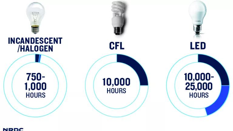 Light Bulb Lasting Life