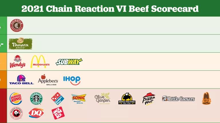 2021 Chain Reaction report scorecard