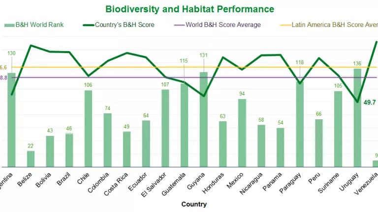 Biodiversity and Habitat