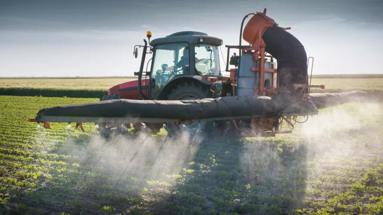 soybean crops sprayed with pesticides