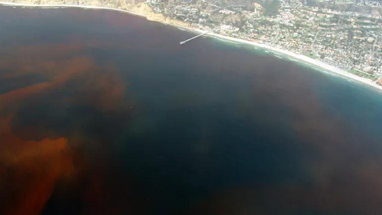 Red tide stock image