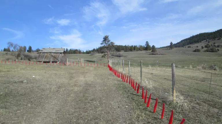 A long fence with red markers on it runs through grasslands