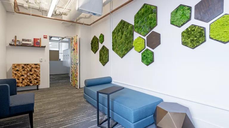 A series of hexagon-shaped frames hold small green plantings on an office wall