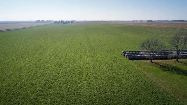 cover crops Lehman farm Iowa