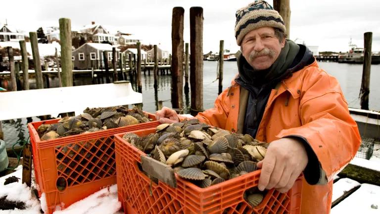 A man in bright orange fishing gear stands on a dock with a crate full of scallops