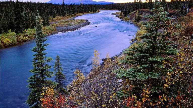Bristol Bay Region