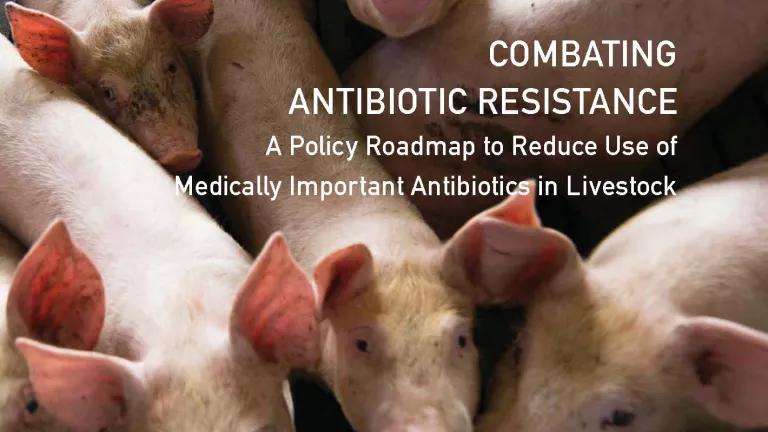 Combating Resistant Bacteria Report