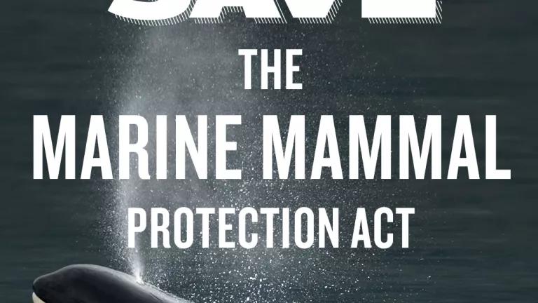 Save the MMPA!