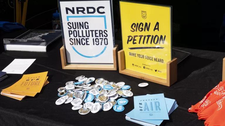 A pile of round pins and postcards sit on a table in front of small signs that read "NRDC: Suing Polluters Since 1970" and "Sign a Petition"