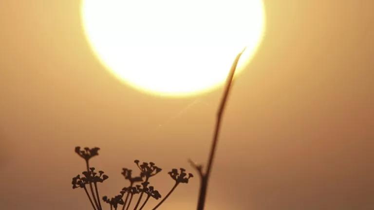 origin_7793564866_Sun.jpg