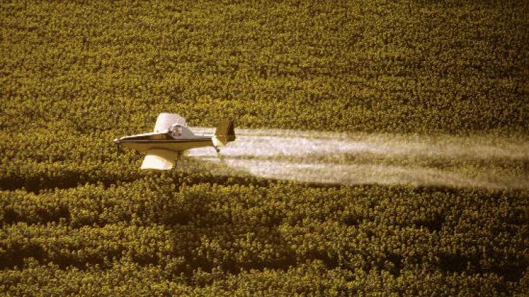 pesticideplane.jpg