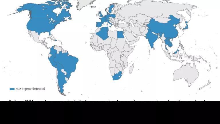 Mapa.png