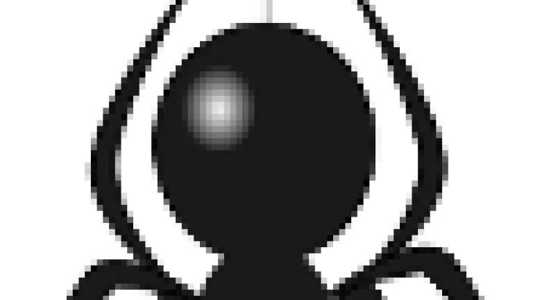 spider_4.png