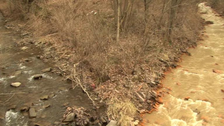 Twin Creeks