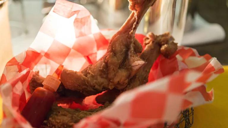 Thumbnail image for wastED Monkfish wings - Thomas Schauer Photographer.jpg