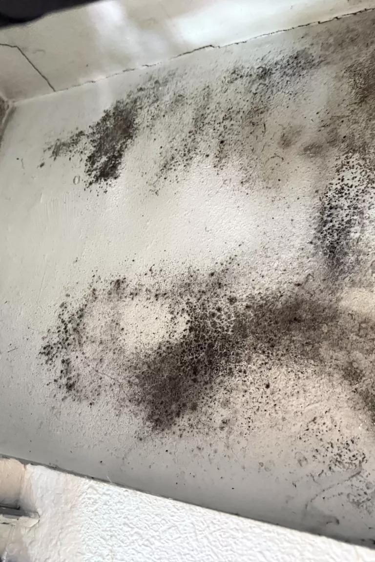 Mold on the walls and ceiling in Valdovinos’ home in Oakland, California.