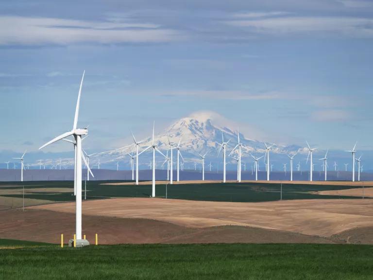 Wind turbines in a vast field on a wind farm in the Columbia Plateau, near Wasco, Oregon