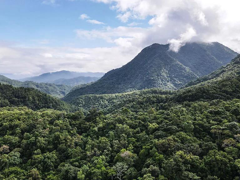 A view of lush green forests and mountains of Hainan Tropical Rainforest National Park in Hainan Province, China