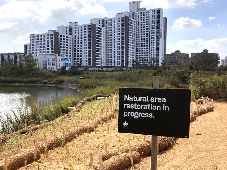 Seagirt Avenue Wetlands in the Far Rockaway area of Queens, New York City, where 177 cubic yards of concrete were removed and marsh grass planted as part of a 2021 restoration project.
