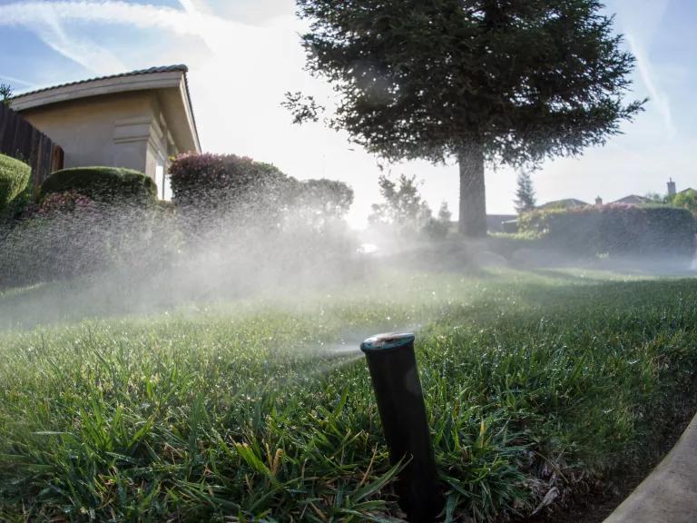 A sprinkler watering the front lawn of a home in Bakersfield, California, on March 22, 2015.