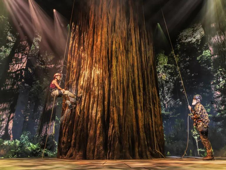 Khaila Wilcoxon (as Becca) and Michael Park (as Finn) perform in Redwood, a new musical at the Nederlander Theatre in New York City on March 20, 2025.