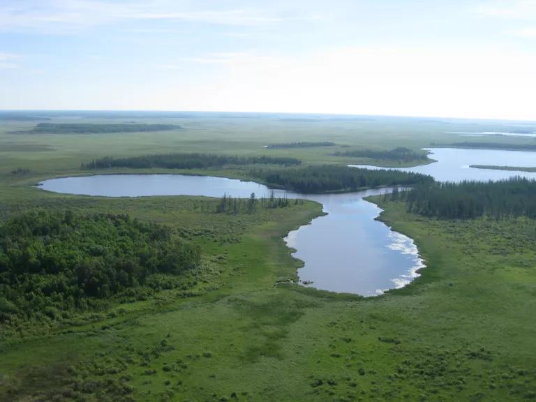 Miskogineu Lake (Red Eagle Lake) in the Zah Gheeng Marsh (the outlet marsh) area west of Lower Red Lake, Minnesota.