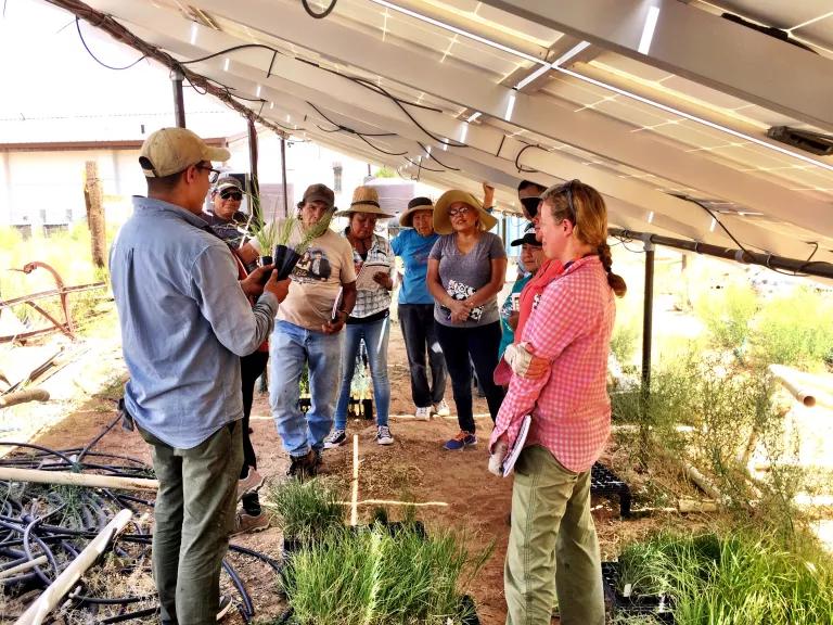 USGS Restoration Assessment and Monitoring Program for the Southwest (RAMPS) is helping to build capacity in ecosystem restoration on the Navajo Nation with a series of projects in collaboration with Navajo Nation Department of Natural Heritage, Diné Native Plant Program, and the Native-led non-profit Tolani Lake Enterprises.