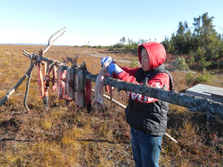 A young boy hanging salmon out to dry at Selawik Science-Culture Camp in Selawik National Wildlife Refuge, Alaska.

During the camp more than 150 children from the Iñupiaq village of Selawik in northwest Alaska celebrate the natural history and cultural traditions of their homeland.

Activities include checking fish nets, scaling and cutting fish, picking cranberries, hunting caribou and seals, butchering moose, practicing with GPS devices, searching for aquatic insects, measuring permafrost depth, and ske
