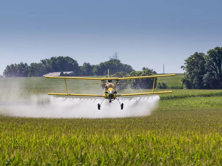 A small plane sprays pesticide on crops