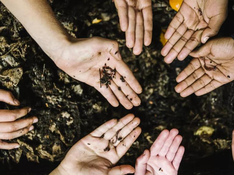 Hands hold seeds above rich brown soil