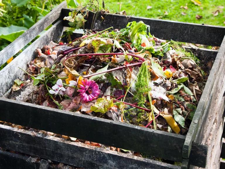 How to Make Compost to Feed Your Plants and Reduce Waste
